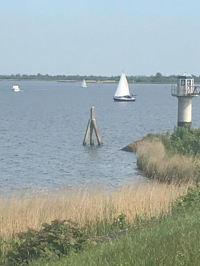De Lauwersmeer Vogel Mit Eingezaeuntem Garten Anjum 外观 照片